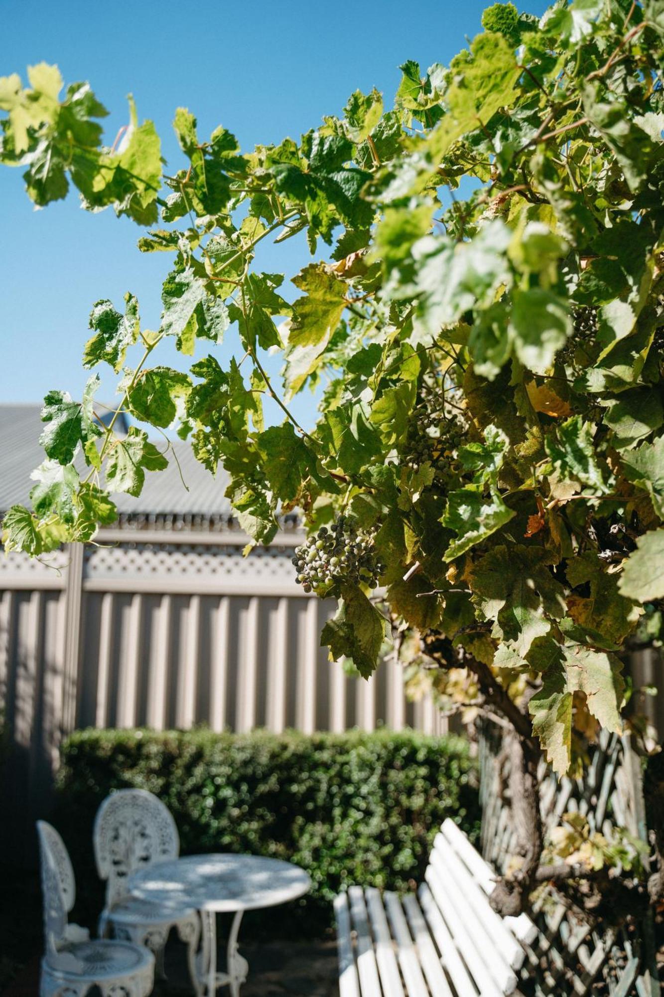 Langmeil Bed & Breakfast Tanunda