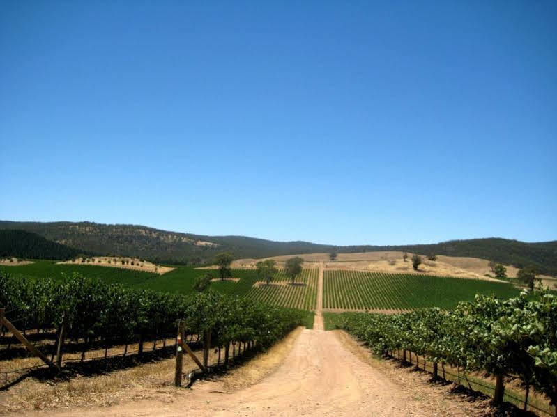 Langmeil Bed & Breakfast Tanunda